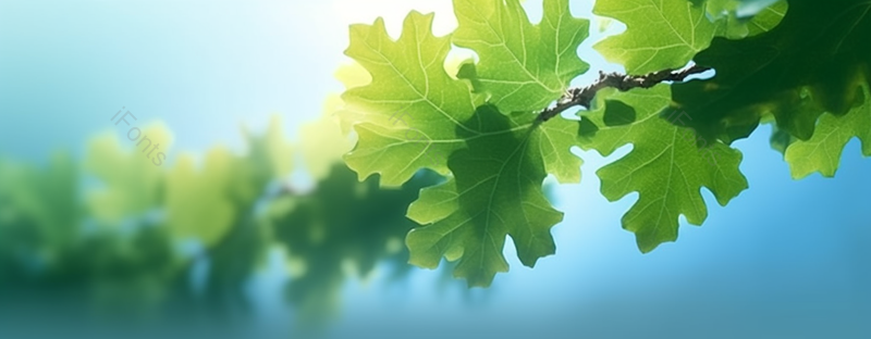 叶子虚幻树叶春天背景图,高清,摄影图,摄影图片,图片大全,摄影图免费下载